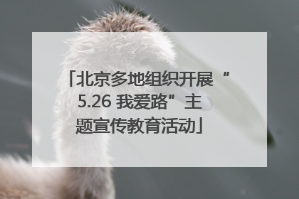 北京多地组织开展“5.26 我爱路”主题宣传教育活动
