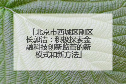 北京市西城区副区长郭洁：积极探索金融科技创新监管的新模式和新方法