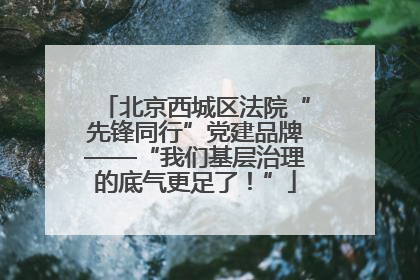 北京西城区法院“先锋同行”党建品牌——“我们基层治理的底气更足了！”