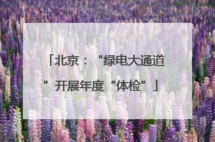 北京：“绿电大通道”开展年度“体检”