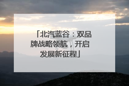 北汽蓝谷：双品牌战略领航，开启发展新征程