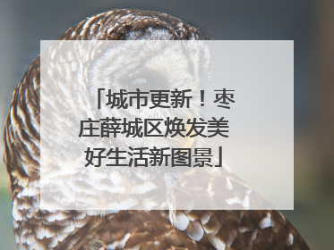 城市更新！枣庄薛城区焕发美好生活新图景