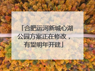 合肥运河新城心湖公园方案正在修改，有望明年开建