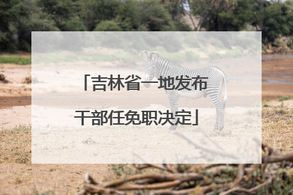 吉林省一地发布干部任免职决定
