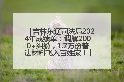 吉林东辽司法局2024年成绩单：调解2000+纠纷，1.7万份普法材料飞入百姓家！