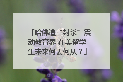 哈佛遭“封杀”震动教育界 在美留学生未来何去何从？
