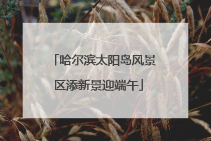 哈尔滨太阳岛风景区添新景迎端午