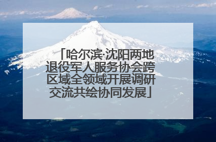 哈尔滨·沈阳两地退役军人服务协会跨区域全领域开展调研交流共绘协同发展