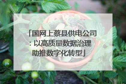 国网上蔡县供电公司：以高质量数据治理 助推数字化转型