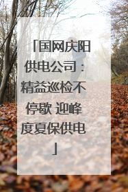 国网庆阳供电公司：精益巡检不停歇 迎峰度夏保供电