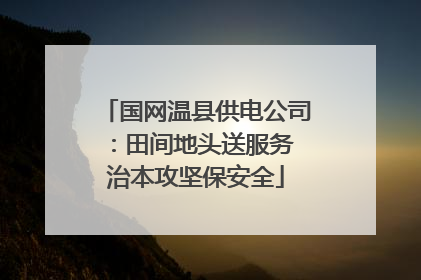 国网温县供电公司：田间地头送服务 治本攻坚保安全