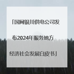 国网银川供电公司发布2024年服务地方经济社会发展白皮书