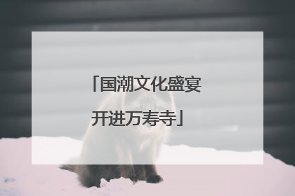 国潮文化盛宴开进万寿寺
