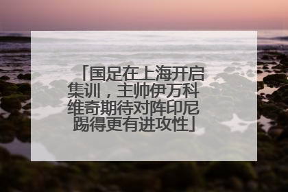 国足在上海开启集训，主帅伊万科维奇期待对阵印尼踢得更有进攻性