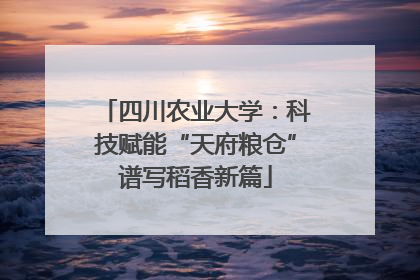 四川农业大学：科技赋能“天府粮仓”谱写稻香新篇