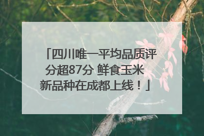 四川唯一平均品质评分超87分 鲜食玉米新品种在成都上线！