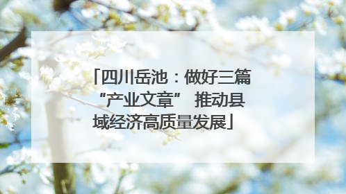 四川岳池：做好三篇“产业文章” 推动县域经济高质量发展