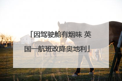 因驾驶舱有烟味 英国一航班改降奥地利