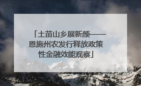 土苗山乡展新颜——恩施州农发行释放政策性金融效能观察
