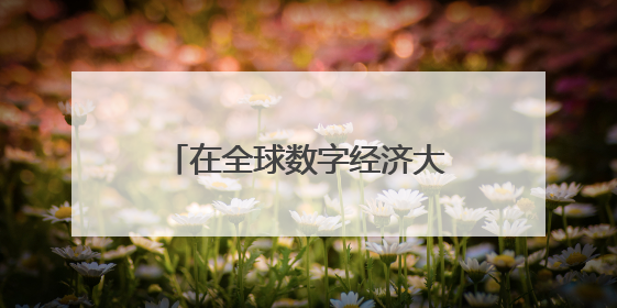 在全球数字经济大会上，人工智能倡导“以人为本”