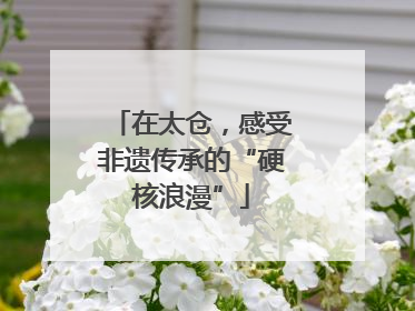 在太仓，感受非遗传承的“硬核浪漫”