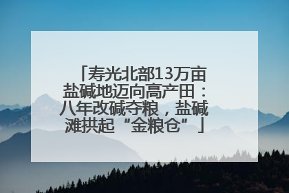 寿光北部13万亩盐碱地迈向高产田：八年改碱夺粮，盐碱滩拱起“金粮仓”