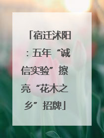 宿迁沭阳：五年“诚信实验”擦亮“花木之乡”招牌