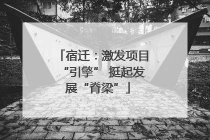 宿迁：激发项目“引擎” 挺起发展“脊梁”
