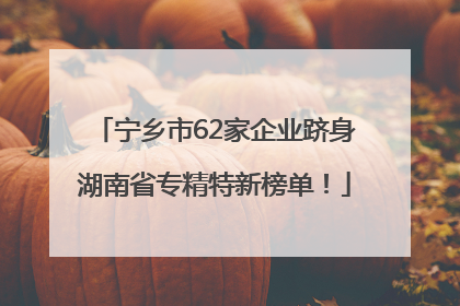 宁乡市62家企业跻身湖南省专精特新榜单！