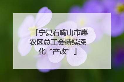 宁夏石嘴山市惠农区总工会持续深化“产改”