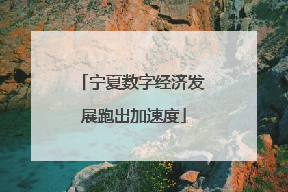 宁夏数字经济发展跑出加速度
