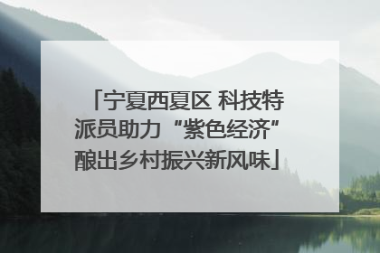 宁夏西夏区 科技特派员助力“紫色经济”酿出乡村振兴新风味