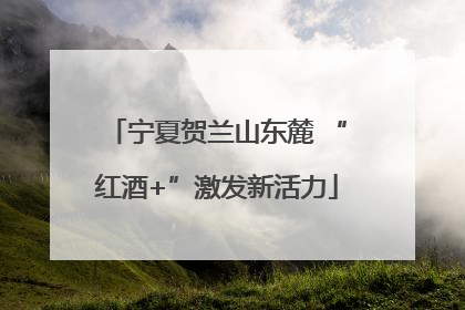 宁夏贺兰山东麓 “红酒+”激发新活力