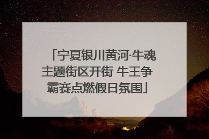 宁夏银川黄河·牛魂主题街区开街 牛王争霸赛点燃假日氛围