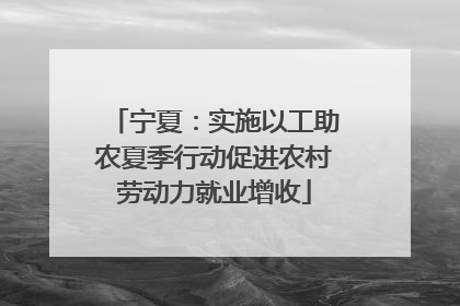 宁夏：实施以工助农夏季行动促进农村劳动力就业增收