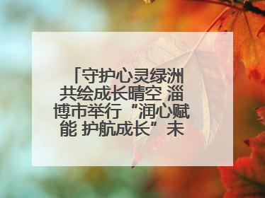 守护心灵绿洲 共绘成长晴空 淄博市举行“润心赋能 护航成长”未成年人心理健康宣传教育主题活动