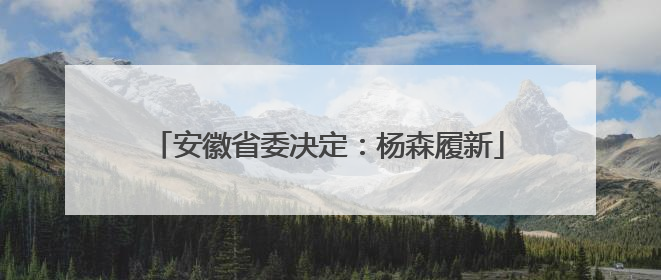安徽省委决定：杨森履新