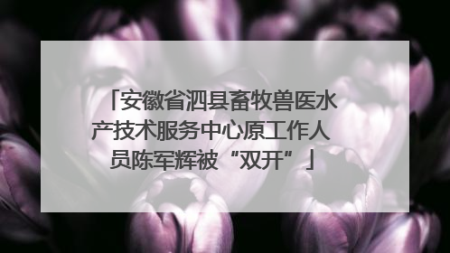 安徽省泗县畜牧兽医水产技术服务中心原工作人员陈军辉被“双开”