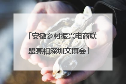 安徽乡村振兴电商联盟亮相深圳文博会
