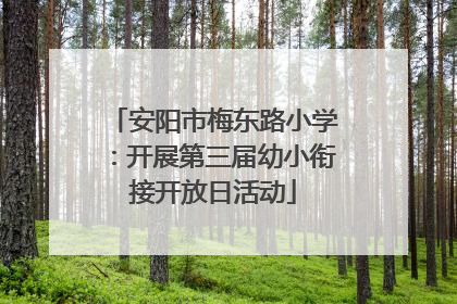 安阳市梅东路小学：开展第三届幼小衔接开放日活动