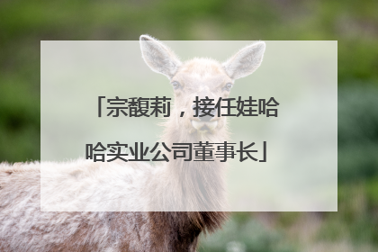 宗馥莉，接任娃哈哈实业公司董事长