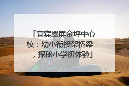 宜宾翠屏金坪中心校：幼小衔接架桥梁，探秘小学初体验