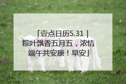 壹点日历5.31｜粽叶飘香五月五，浓情端午共安康！早安