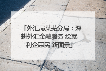 外汇局莱芜分局：深耕外汇金融服务 绘就利企惠民 新图景