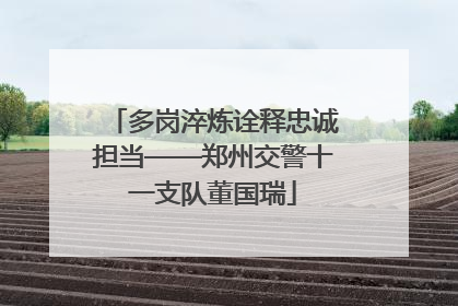多岗淬炼诠释忠诚担当——郑州交警十一支队董国瑞