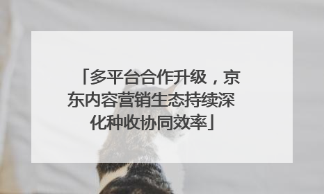 多平台合作升级，京东内容营销生态持续深化种收协同效率