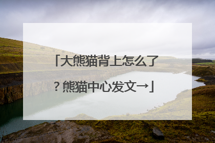 大熊猫背上怎么了？熊猫中心发文→