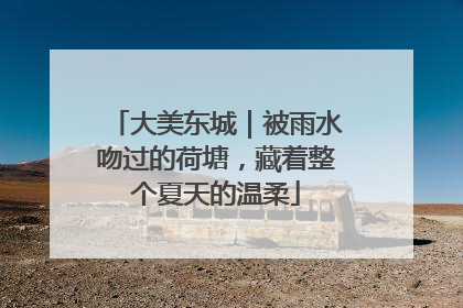 大美东城｜被雨水吻过的荷塘，藏着整个夏天的温柔