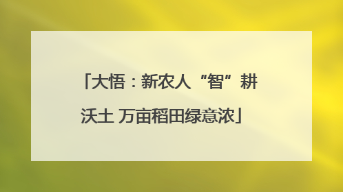 大悟：新农人“智”耕沃土 万亩稻田绿意浓