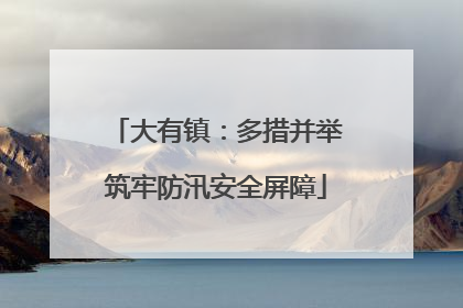大有镇：多措并举筑牢防汛安全屏障